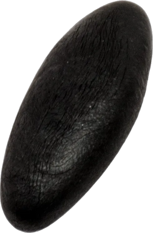 Lygus išgryninto šilajito dervos gabalėlis