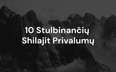 Dešimt stulbinančių Shilajit privalumų