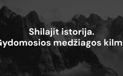 Shilajit istorija | Gydomosios medžiagos kilmė
