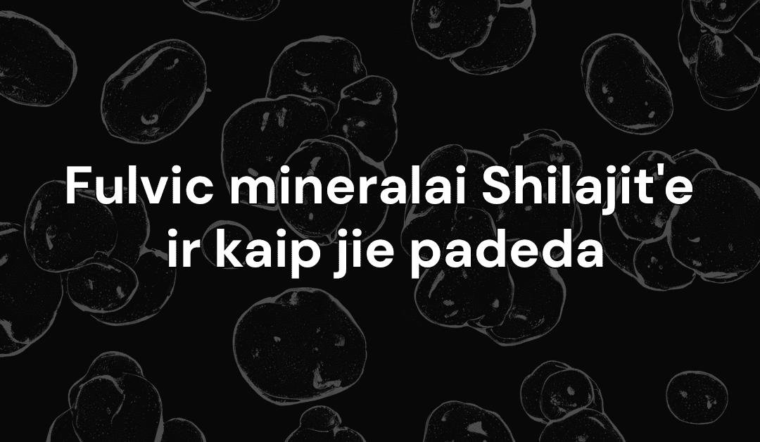 Fulvic mineralai Shilajit’e ir kaip jie padeda