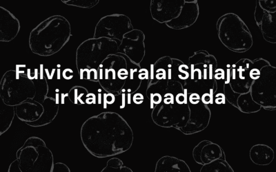 Fulvic mineralai Shilajit’e ir kaip jie padeda