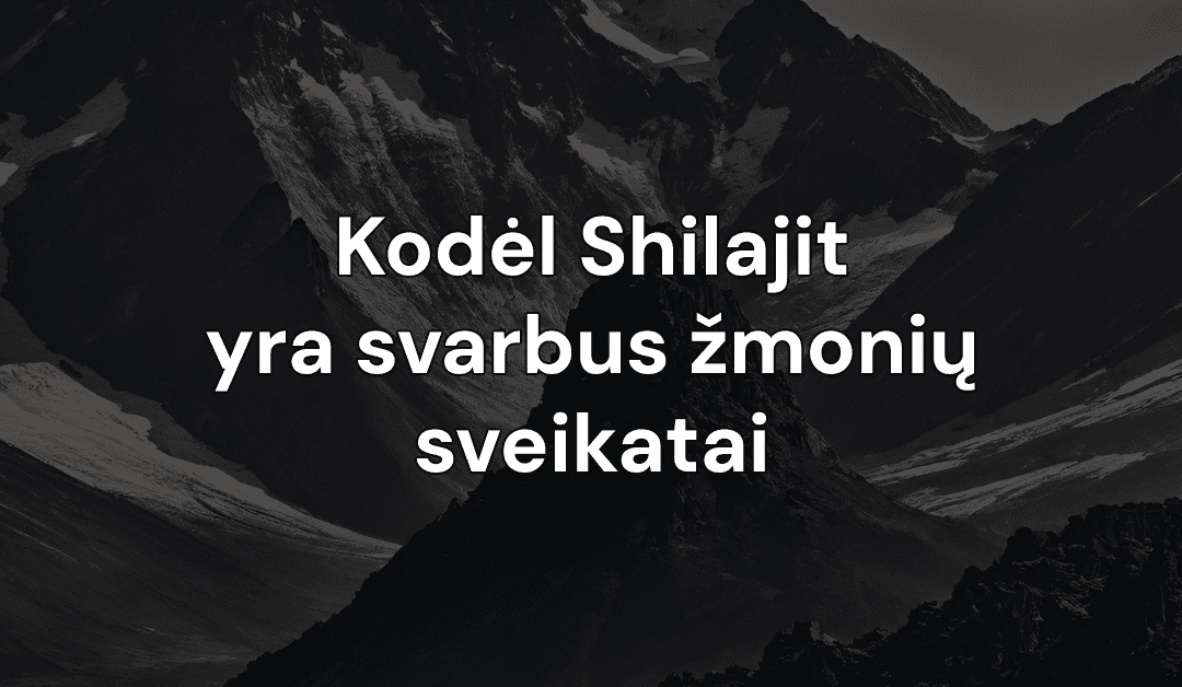 Kodėl Shilajit yra svarbus žmonių sveikatai ir kaip jis padeda šiuolaikiniam gyvenimo būdui