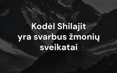 Kodėl Shilajit yra svarbus žmonių sveikatai ir kaip jis padeda šiuolaikiniam gyvenimo būdui