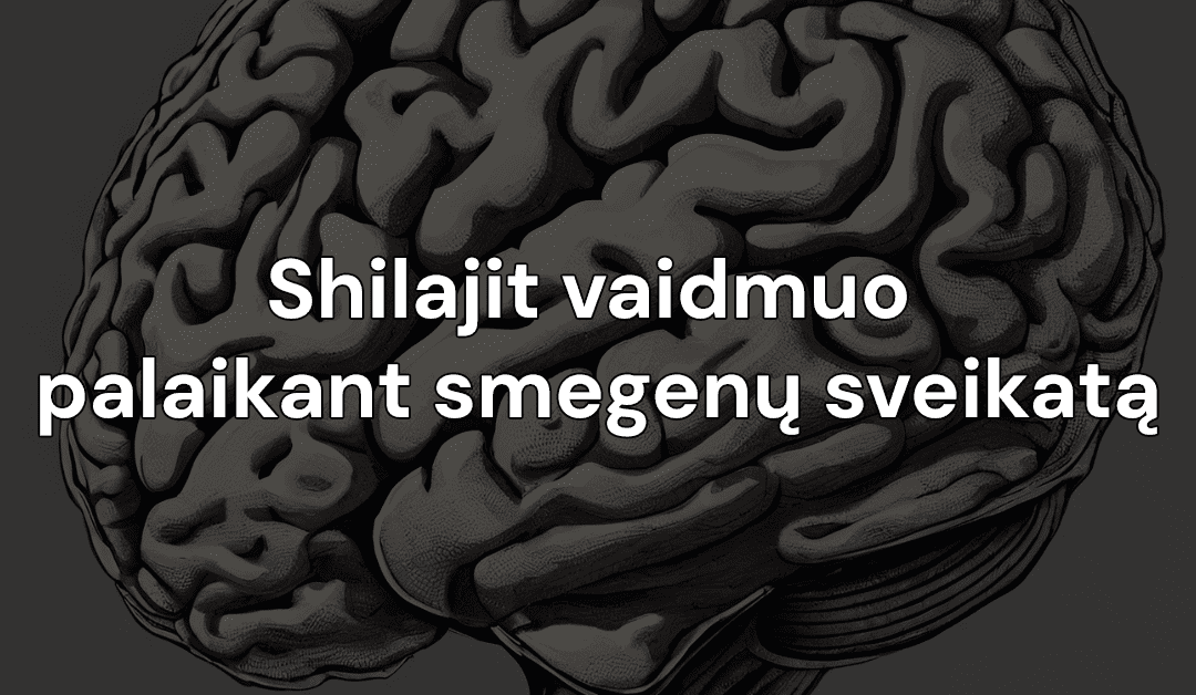 Shilajit vaidmuo palaikant smegenų sveikatą