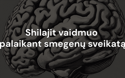Shilajit vaidmuo palaikant smegenų sveikatą
