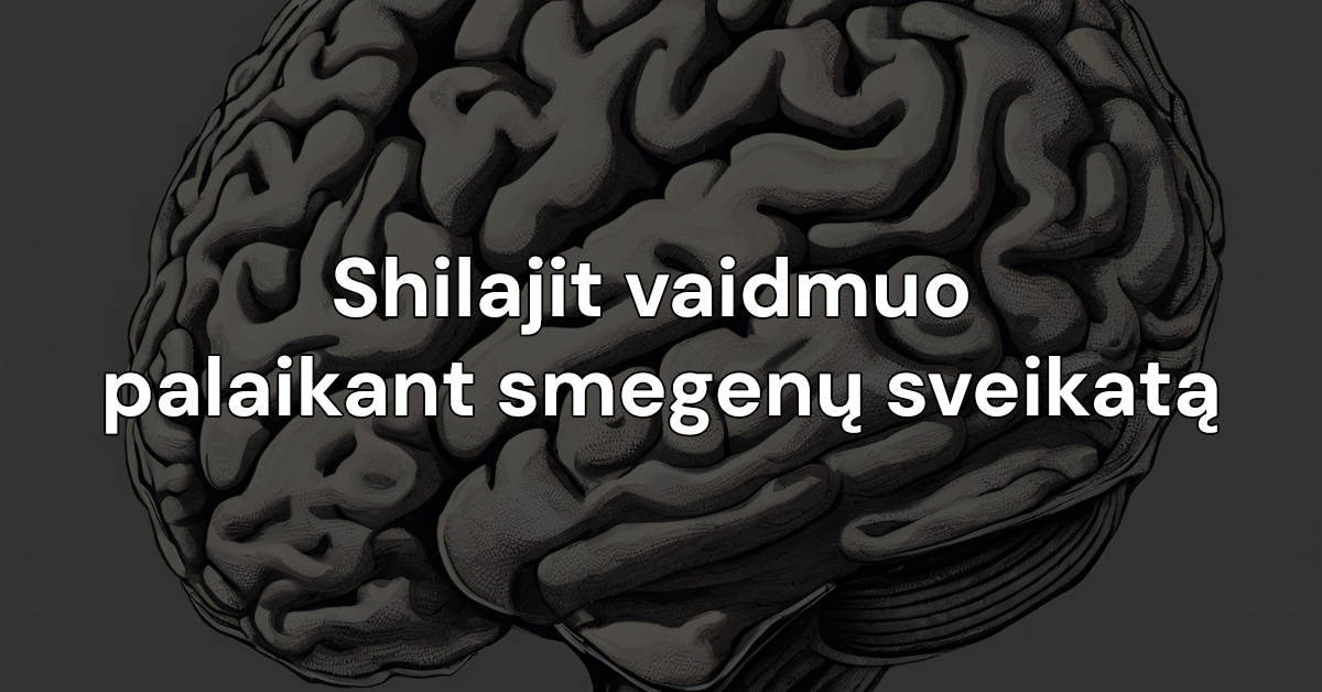 smegenys