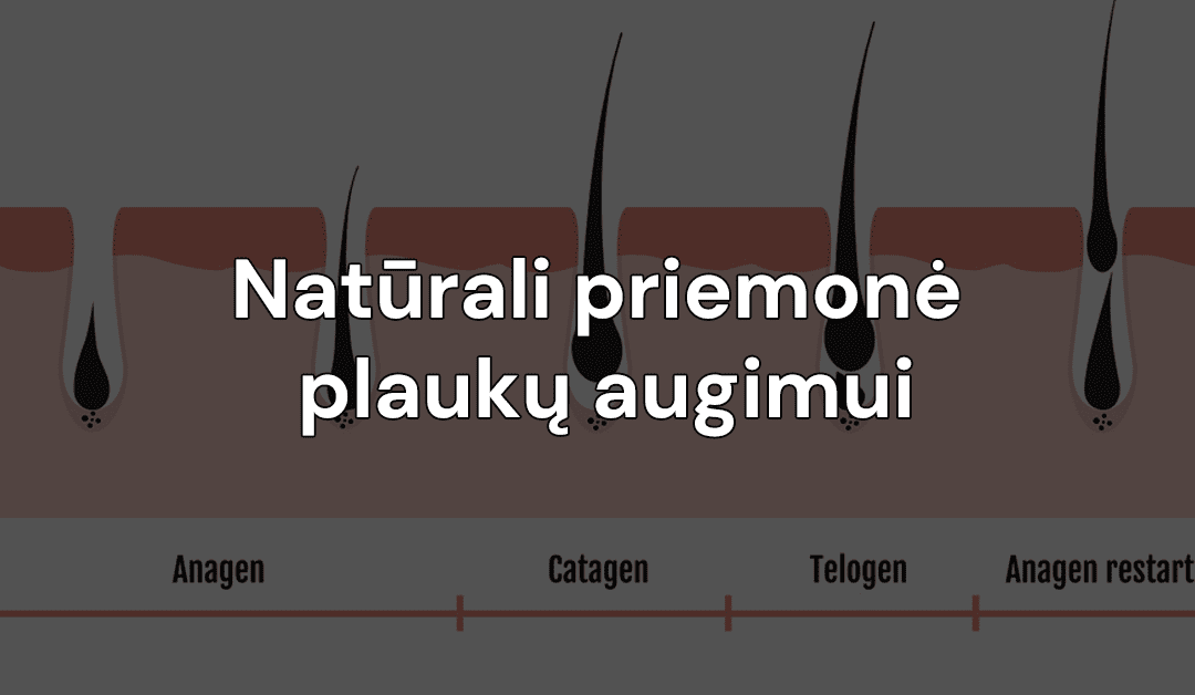 Atraskite Shilajit paslaptis: natūrali priemonė plaukų augimui