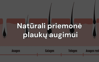 Atraskite Shilajit paslaptis: natūrali priemonė plaukų augimui