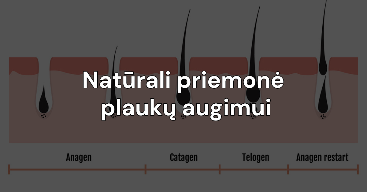 plaukams
